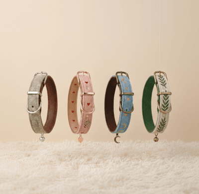 Embroidered Felt Pet Collar - Soft Wool & Leather-Backed Comfort